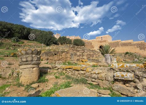 Antiche Rovine Di Chellah O Sala Colonia A Rabat Marocco Immagine Stock