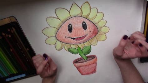 How To Draw A Sunflower From Plants Vs Zombies