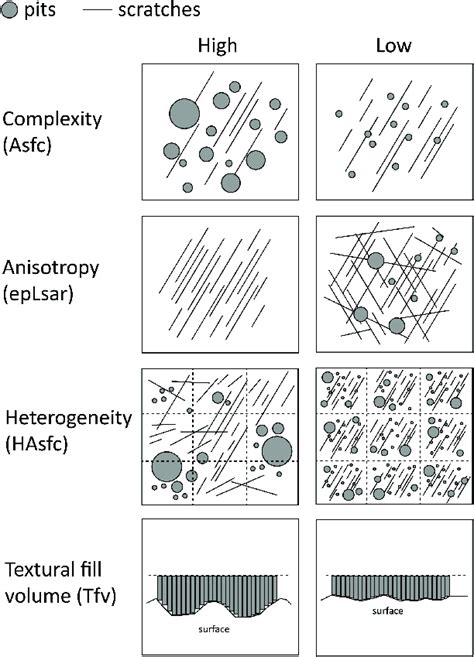 Schematic illustration of microwear surfaces showing high and low ...