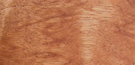 Bubinga Wood The Best Choice For Luxury Furniture Wood Dad