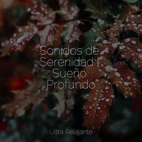 Sonidos de Serenidad Sueño Profundo Album by Mantra para Meditar