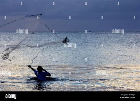 fisherman  net bali stock photo alamy