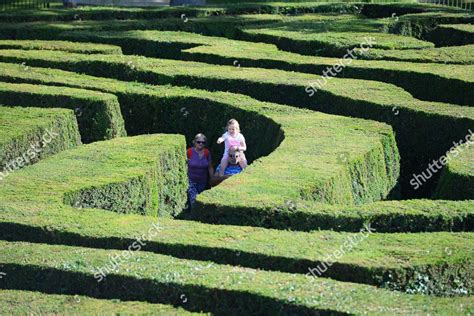 Hedge Maze Editorial Stock Photo - Stock Image | Shutterstock