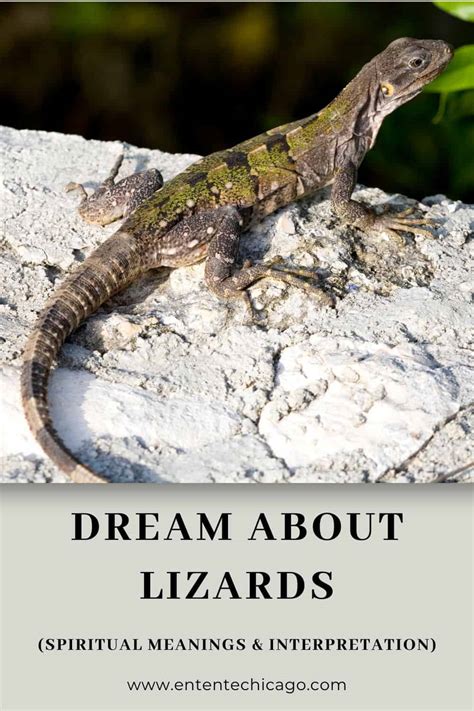 Dream About Lizards Spiritual Meanings Interpretation