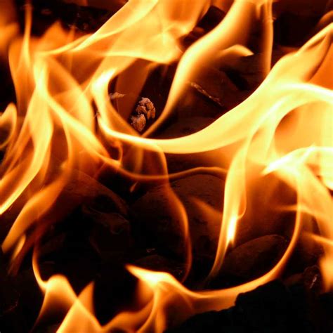 Fuego: luz, fuerza y calor en tu vida - Alzentro
