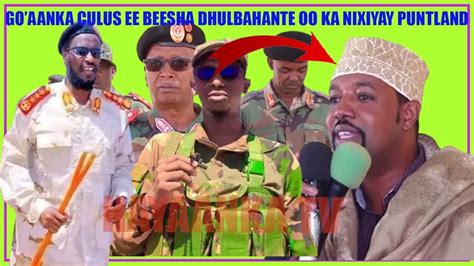 DEGDEG Garaadada Dhulbahante Oo Heshiis Halis Ku Ah SSC Iyo Puntland