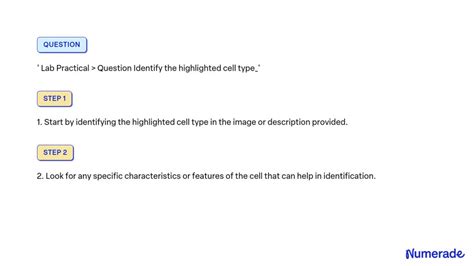 Solved Lab Practical Question Identify The Highlighted Cell Type