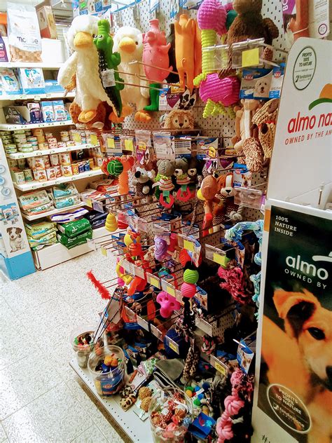 Chi Siamo Quattro Zampe