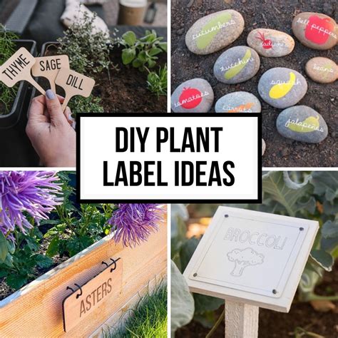 20 Creative DIY Plant Labels for Your Garden - The Handyman's Daughter