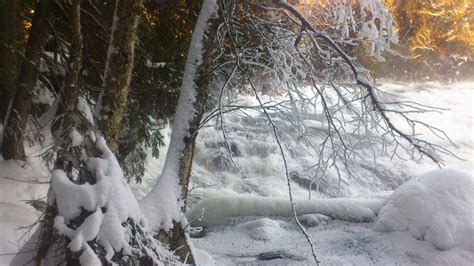 Kostenlose Foto Landschaft Baum Wasser Wald Wasserfall Ast