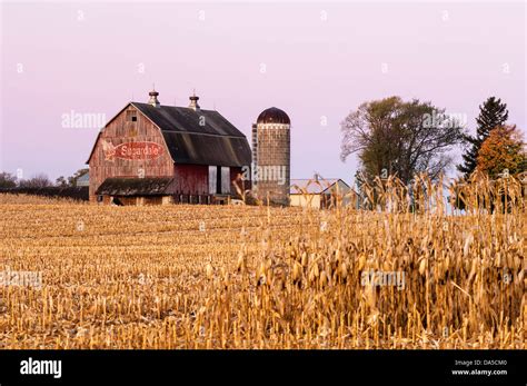 Barn With Corn Field Background