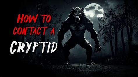 The Beginners Guide To Contacting A Cryptid YouTube