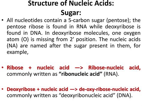 Nucleic Acids Meaning And Structure Macromolecules Ppt