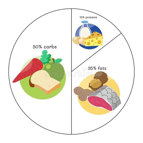 Infographics Sobre O Alimento Saud vel Ilustração do Vetor Ilustração