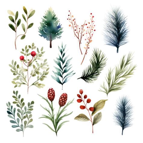 Premium Ai Image Festive Christmas Botanical Illustration