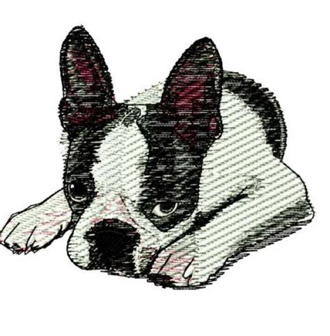 Boston Terrier Embroidery Pattern - Anything Terrier