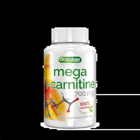 L Carnitine Body And Shape Store