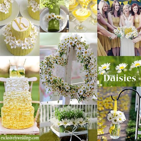 Innisbrook Wraps Presentation Is Everything Daisy Wedding Theme