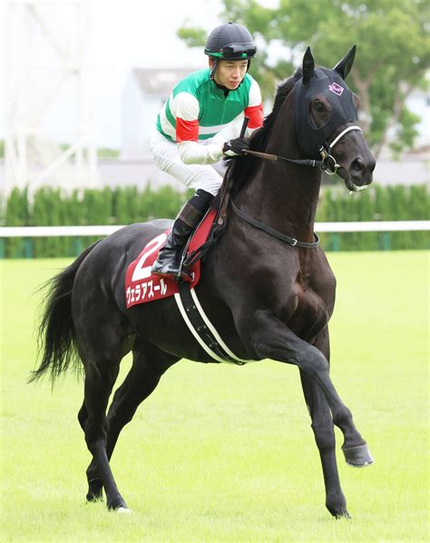 【注目馬動向】ヴェラアズールは連覇が懸かるジャパンcを目指す 選出済みの香港ヴァーズは辞退へ Umatoku 馬トク