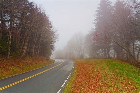 Roads Autumn Fog Hd Wallpaper Rare Gallery