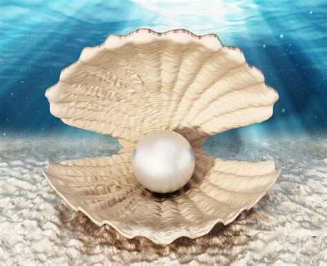 The Biggest Pearl In The World American Oceans