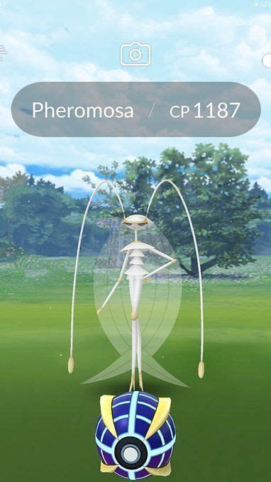 The Best Moveset For Pheromosa In Pokemon Go