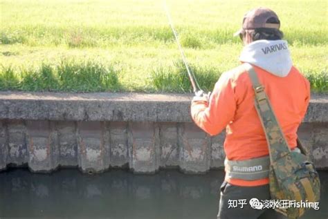 路亚·钓行丨琵琶湖人气导钓的远贺川鲈钓攻略（第二回）【永野总一朗】 知乎