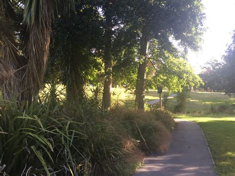 Path In Jellie Park Discoverywallnz