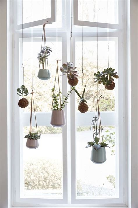 Ways To Hang Plants In Front Of Window At Grace Hart Blog