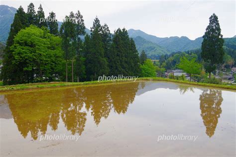 北五百川の棚田 田植えの頃 写真素材 4846762 フォトライブラリー Photolibrary