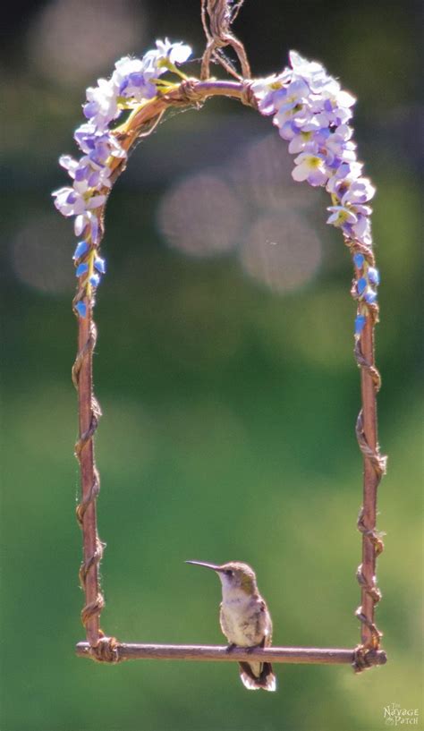 Bird Perches Diy Images