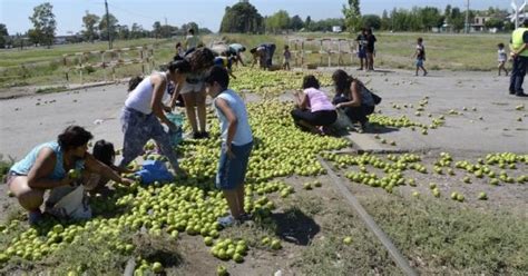 Noti Agro Noticias e Información del Agro y del Campo Argentino