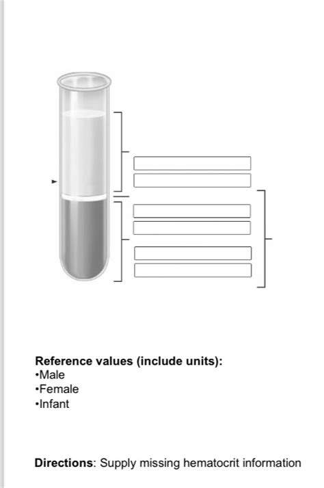 Major Components Of Whole Blood Diagram Quizlet