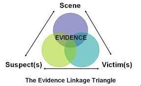 Crime Scene Notes Forensics Flashcards Quizlet