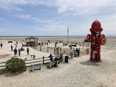 Exploring wildwood florida reveals a hidden park for nature lovers 12