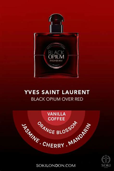 7 Black Opium Dupes That Smell So Good Youll Forget Its Not The