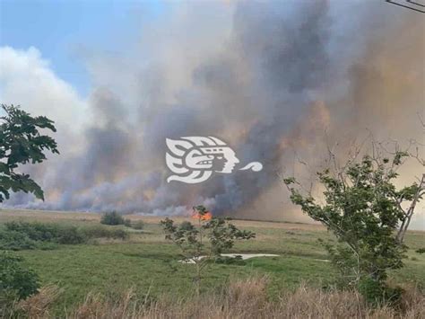 En Riesgo Zonas Costeras Por Intensos Calores E Incendios Advierten