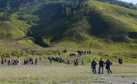 Wisata Di Sekitar Gunung Bromo Terpopuler Tahun 2020