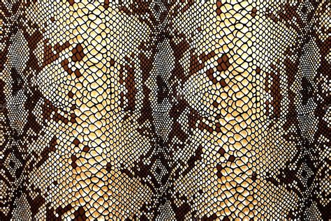 Fabric Patterned Snakeskin — Stock Photo © Tiantan 1894516