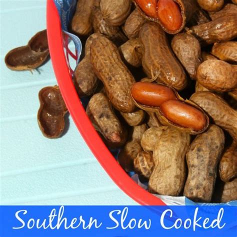 Southern Slow Cooked Hot Boiled Peanuts For The Love Of Food