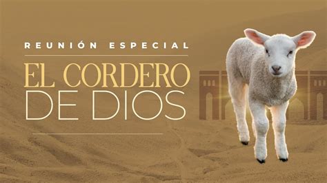 Reunión especial El Cordero de Dios Pr César González VNPEM Norte