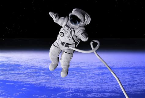 Who Discovered Gravity? Learn Here - Reterdeen