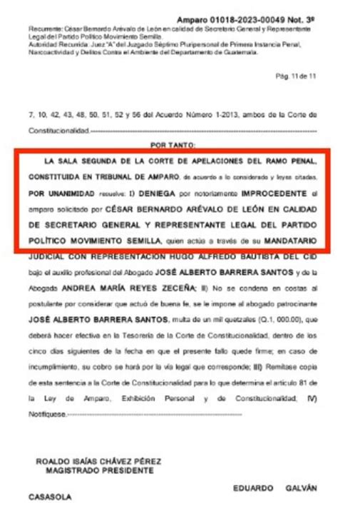 ¡rechazado Sala De Apelaciones Deniega Amparo A Semilla