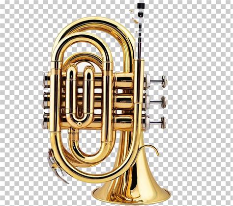 Cornet Trumpet Mellophone Flugelhorn Saxhorn PNG Clipart Alto Horn