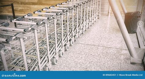 Supermarket Trolleys Royalty Free Stock Photo Cartoondealer