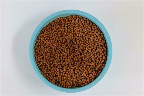 fish pellets, catfish food 24201257 Stock Photo at Vecteezy