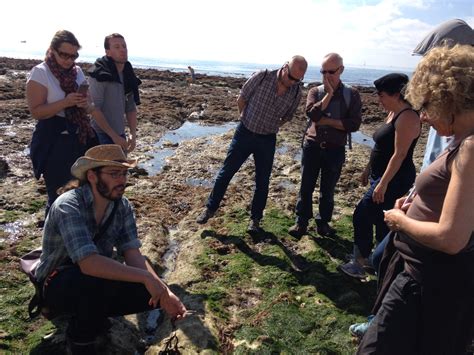 Environment | ed's website