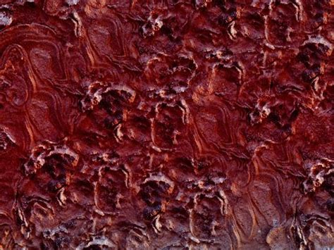 flesh texture stock  images  backgrounds