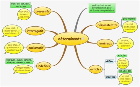 Français CM2 les déterminants Xmind mind map template Biggerplate