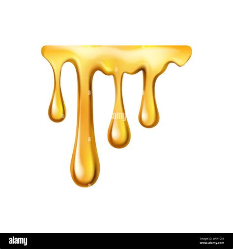 Dripping Honey With Drops Isolated Sweet Sweet Sticky Liquid Vector